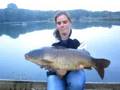 14lb Common carp