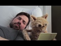 This cat is NED Ep15: Sick Day