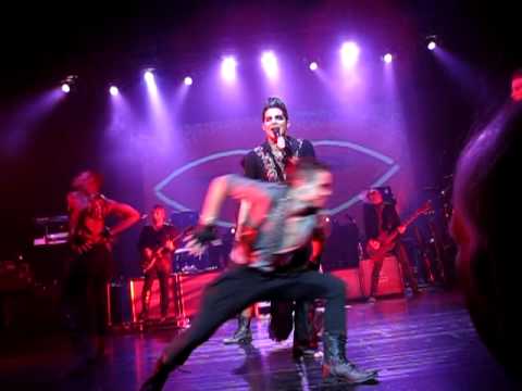 Fever - Springfield MO
