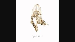 Patrick Watson Big Bird In A Small Cage Patrick Watson Big Bird In A Small Cage