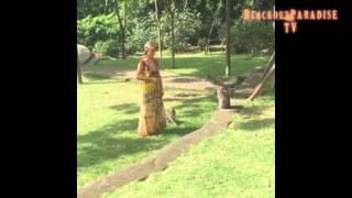 Watch Paris Hilton Never Be Alone video