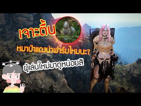 Black Desert Online | เจาะตื้นที่ฟาร์มสำหรับผู้เล่นใหม่ EP2 #หมาป่าแดง #หมาแดง