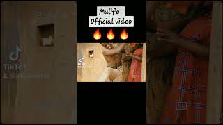 Murife Dont Run