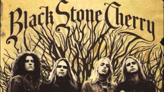 Watch Black Stone Cherry When The Weight Comes Down video