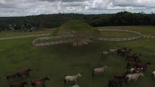 Fazenda Santa Rita - Belmonte, Bahia. Vista Aérea.