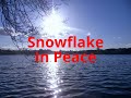Snowflake (Emily Richards): In Peace | Vocal Pop Music (Royalty-free)