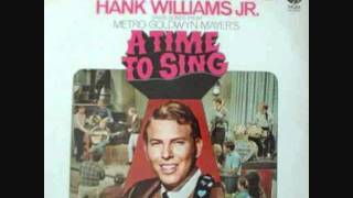 Watch Hank Williams Jr Money Cant Buy Happiness video