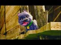 Watch Legends Of Oz Dorothy S Return 2013 Full Movie