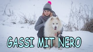 Wie LANGE und wie OFT mit HUND GASSI GEHEN? Gassi interessant gestalten! Hunde richtig auslasten!