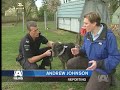 Neglected Dog Picked Up Near Death Neglected Dog Picked Up Near Death