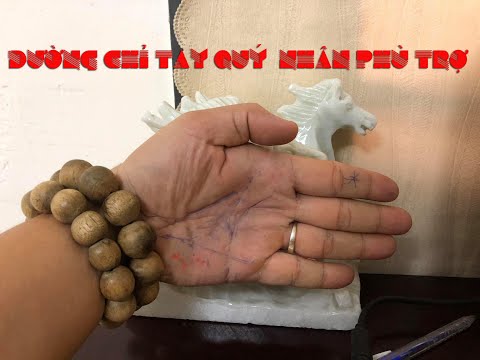 Đường chỉ tay quý nhân phù trợ | xem chỉ tay