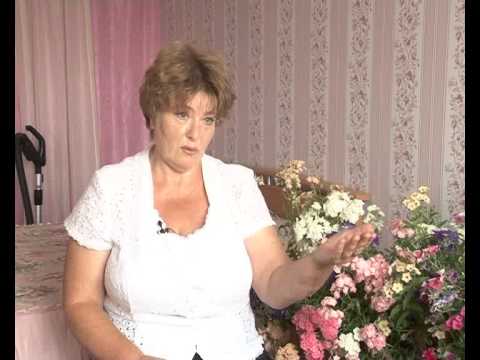 Какие цветы посадить на подоконнике дома Какие цветы посадить на подоконнике дома