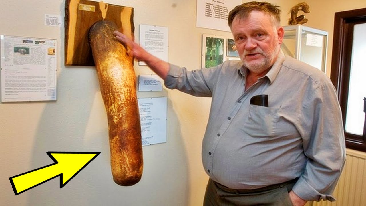 5У него был очень длинный и толстый член