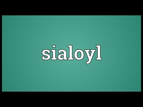 Header of sialoyl