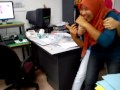 rogol