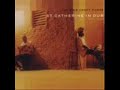The Ring Craft Posse - Passage Fort (Dub)