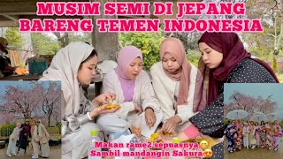 MUSIM SEMI DI JEPANG PIKNIK BARENG TEMEN INDONESIA