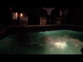 Pool jump sharky's wedding