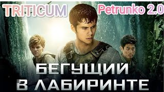 Triticum - Petrunko 2.0 / Бегущий В Лабиринте