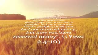 The Priesthood of all Believers. Theological Overview.