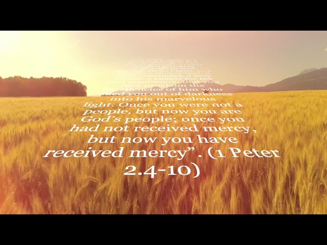 The Priesthood of all Believers. Theological Overview.