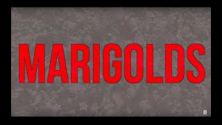 Watch Cursive Marigolds video