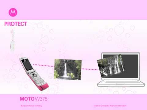 Motorola W375 - Introduction
