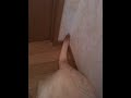 Anime44 動画21b