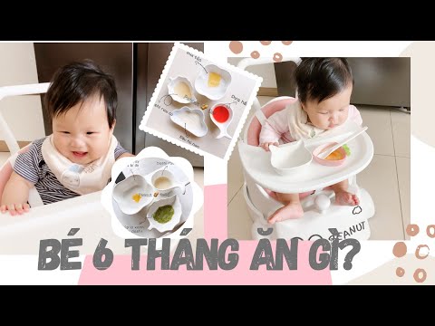 Thực Đơn Ăn Dặm Kiểu Nhật cho bé 6 tháng tuổi// Peanut Ăn Dặm (tập 8)