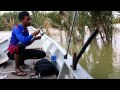 Suatu cerita memancing udang galah.