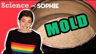I left soup out too long | MOLD | Gross Science
