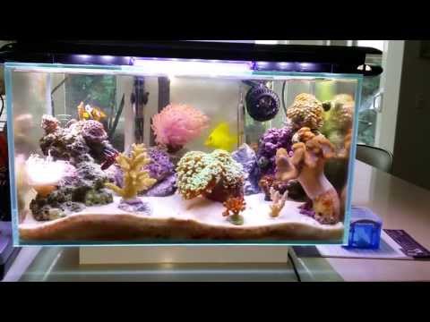 nano reef led lighting