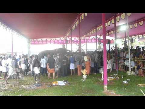 Aanayootu 17th July Vadakkumnathan Temple Videos 008