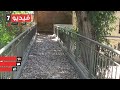 شوقى