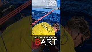 Tag 35 Der Solo Pazifiküberquerung. Bewuchs Ohne Ende Trotz Frischem Antifouling