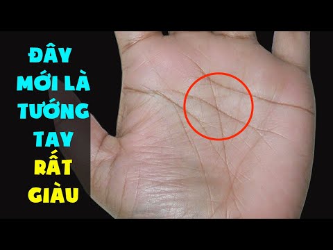 10 Đường Chỉ Tay Quý Hơn Vàng Quyết Định Cuộc Đời Giàu Sang Phú Quý - Phần 3