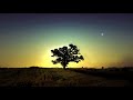 Phaeleh - Should Be True