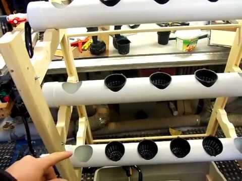 DIY Aquaponic setup!!! Grow organic food in the middle of ...