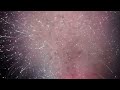 Epic Fail - Fireworks - San Diego