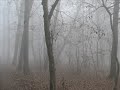 Chapter V Video preview
