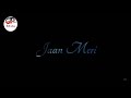 Jaan Meri Jaa Rahi Sanam | Lyrical Love Status | P R I N C E