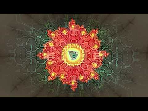 Chrysanthemum Video