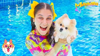 Regras De Conduta Para Animais Na Piscina Em Uma História Engraçada E Educativa Com A Mileninha