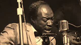 Watch Jimmy Reed You Got Me Dizzy video