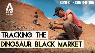 Tracking The Dinosaur Fossil Black Market From Desert To Dealer Bones Of Contention - Part 22