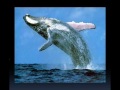Ruokangas Unicorn In Search Of Les Paul Sound Ruokangas Unicorn In Search Of Les Paul Sound