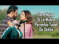 Parindey (LYRICS) - B Praak | Gippy Grewal | Sargun Mehta | Harmanjeet | Jatt Nuu Chudail Takri|Avvy