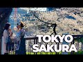 "AMO TOKYO ANCHE PER QUESTO" - TOKYO SAKURA 2021