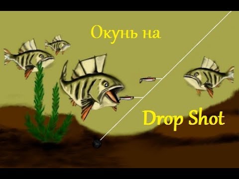 дропшот для белой рыбы видео дропшот для белой рыбы видео