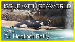 This Vet Explains Everything That’s Still Wrong with SeaWorld